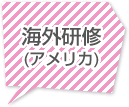 海外研修(アメリカ)