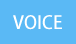 voice