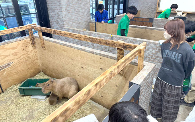 アニマルセラピー